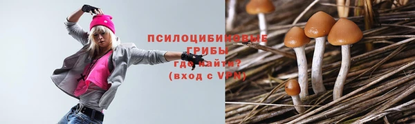 амф Абдулино
