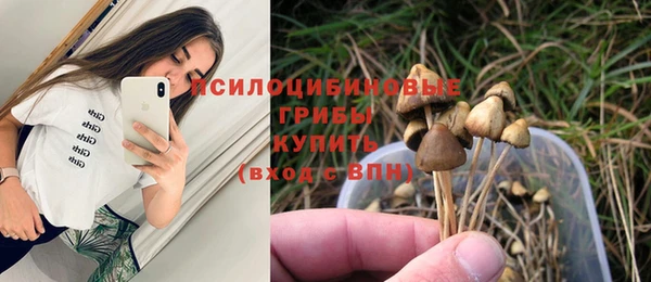 амф Абдулино