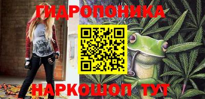 a pvp Будённовск