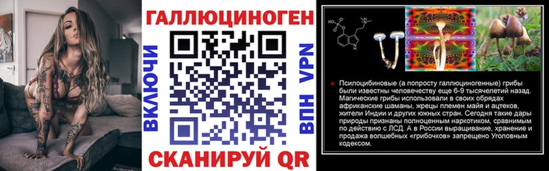 Псилоцибиновые грибы Psilocybine cubensis  Карпинск 