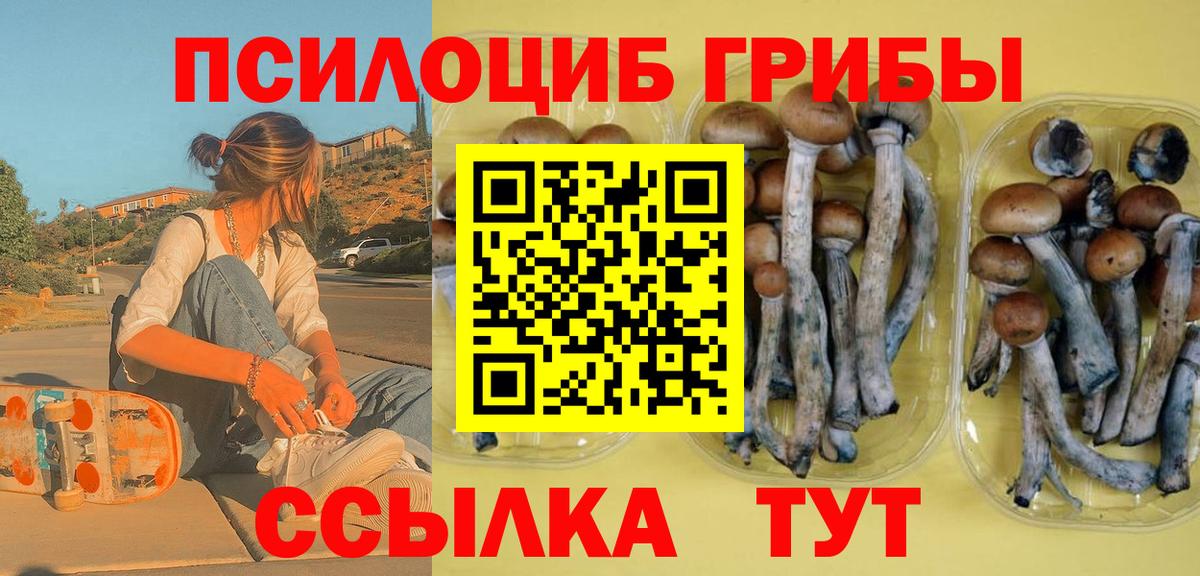 Галлюциногенные грибы Cubensis  Вход с VPN  Карпинск 